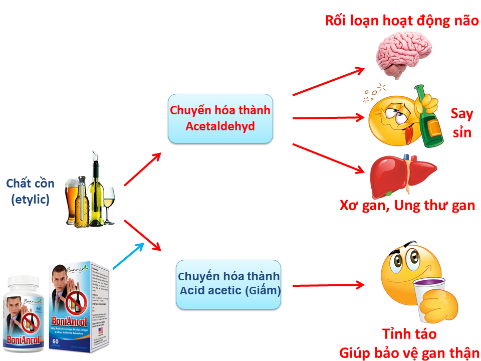 BoniAncol - công thức toàn diện giúp bỏ rượu hiệu quả, an toàn không lo hội chứng cai rượu