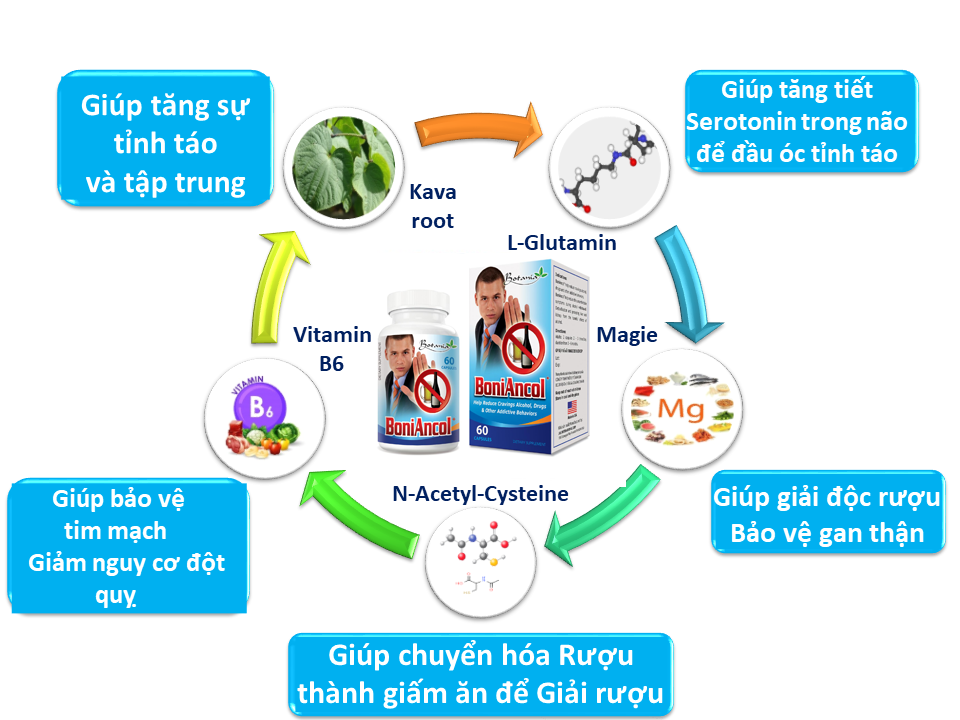 BoniAncol có công thức toàn diện giúp  bỏ rượu nhẹ nhàng, hiệu quả