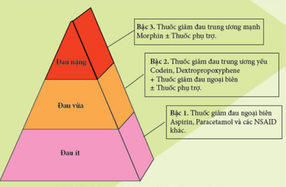 Thang giảm đau 3 bậc của Tổ chức Y tế Thế giới (WHO)