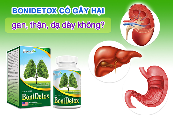 BoniDetox có gây ảnh hưởng đến gan, thận và dạ dày không? 