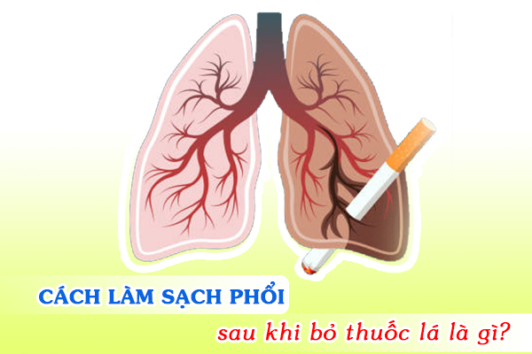 Cách làm sạch phổi sau khi bỏ thuốc lá là gì?