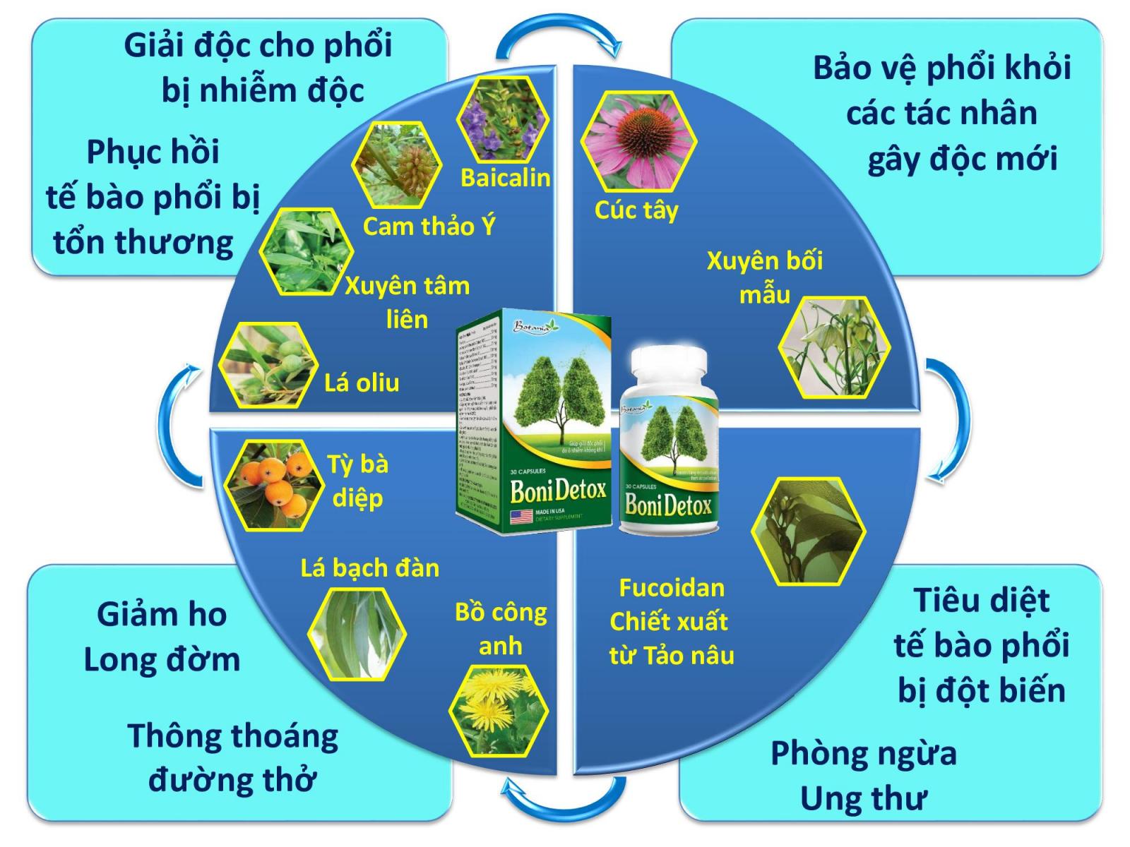 Thành phần và công dụng của BoniDetox.