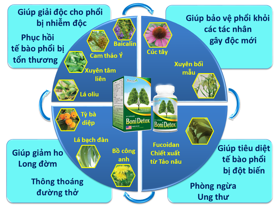 Thành phần và công dụng của BoniDetox.