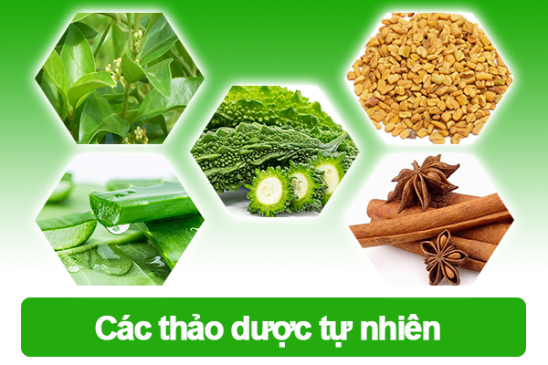 Các thảo dược tự nhiên trong BoniDiabet +