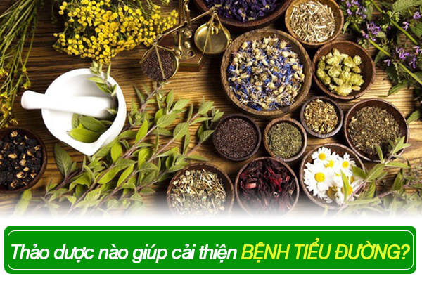 Thảo dược nào giúp cải thiện bệnh tiểu đường?