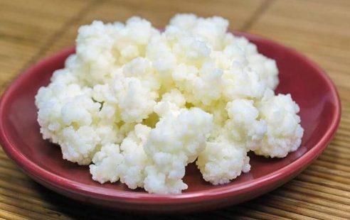 Nấm sữa kefir có chứa nhiều lợi khuẩn