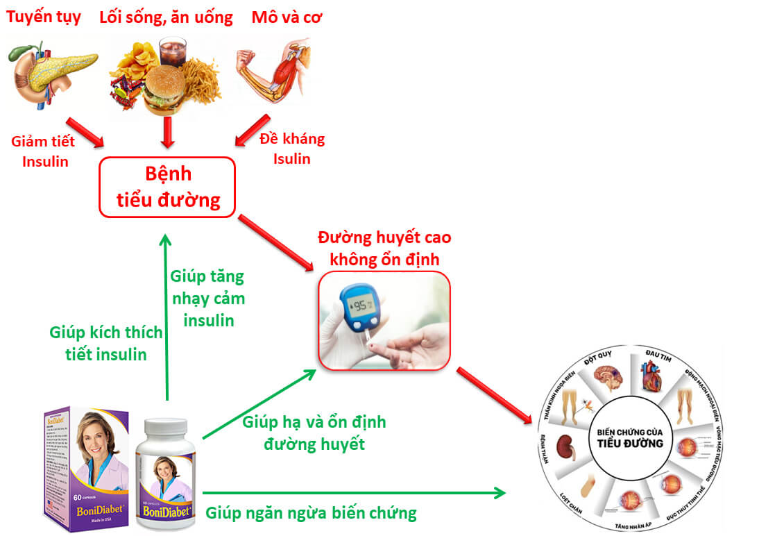 Cơ chế tác dụng của BoniDiabet