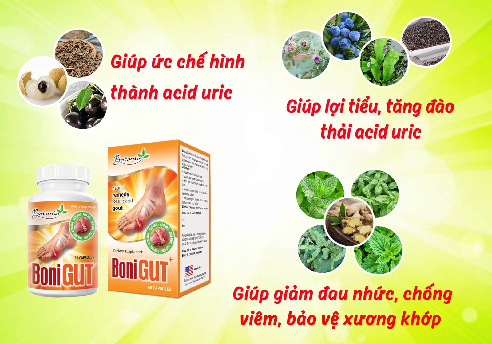 Tác dụng toàn diện của BoniGut +