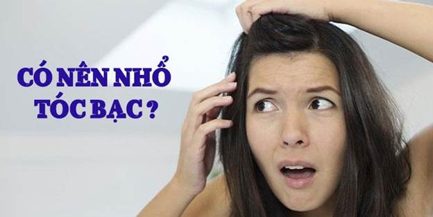 Gặp tình trạng tóc bạc sớm thì có nên nhổ tóc bạc không?