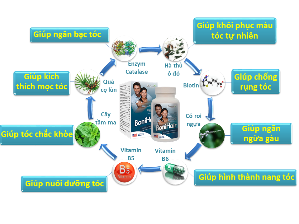 Các thành phần và công dụng của sản phẩm BoniHair.