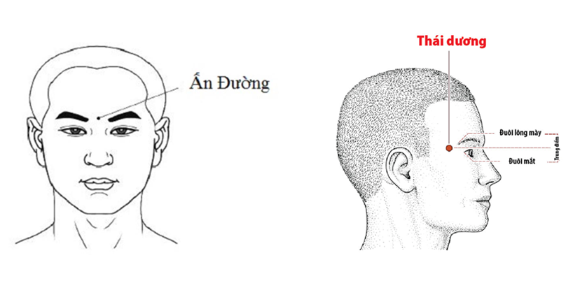 Vị trí huyệt ấn đường và huyệt thái dương