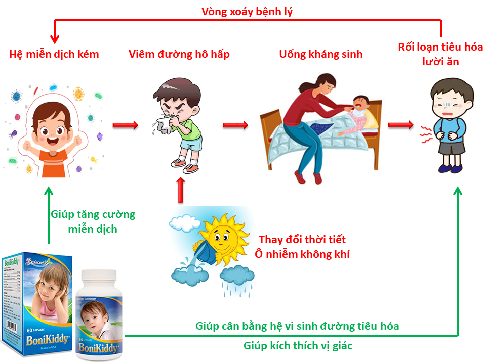 Công dụng của BoniKiddy +