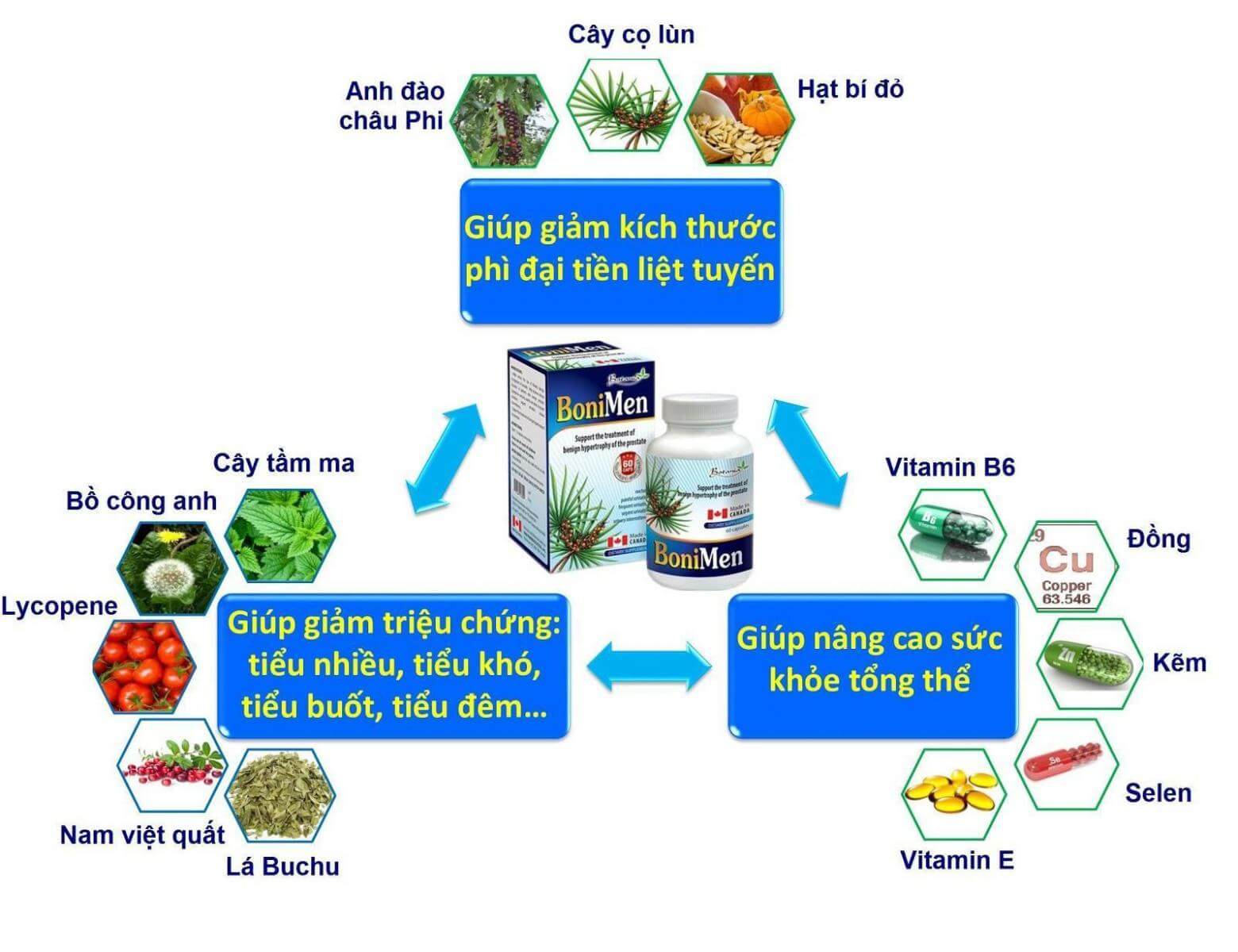  Các thành phần của BoniMen được kết hợp một cách hoàn hảo