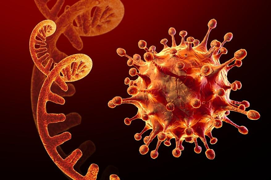 Ánh nắng mặt trời giúp giảm sự phát triển của virus