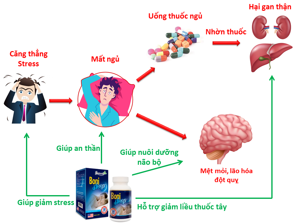   BoniSleep + có cơ chế tác động toàn diện