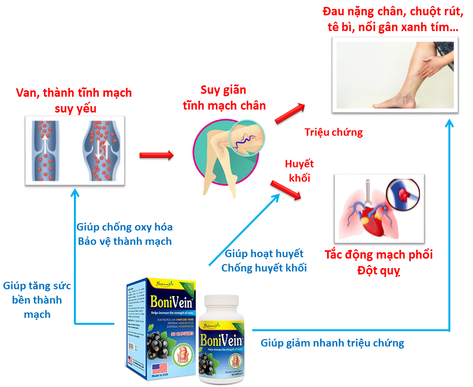 Cơ chế tác dụng của BoniVein +