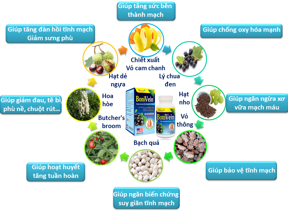 Công thức toàn diện của BoniVein +