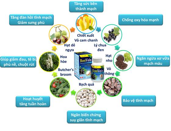  Công thức toàn diện của BoniVein +