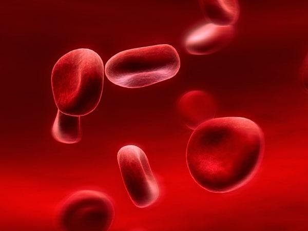  Liệu pháp gene- Hy vọng mới cho người mắc Hemophilia