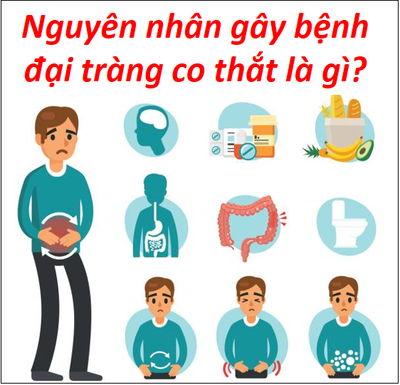 Nguyên nhân gây bệnh đại tràng co thắt là gì? - Giải pháp khắc phục bệnh hiệu quả nhất