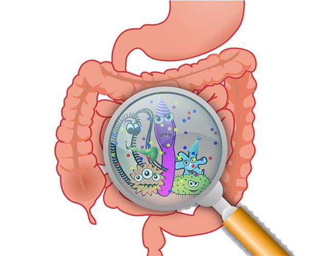 Rượu bia làm mất cân bằng hệ vi sinh đường ruột gây tiêu chảy