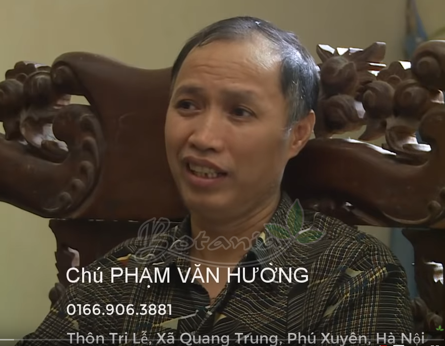 chú phạm văn hưởng dùng bonigut