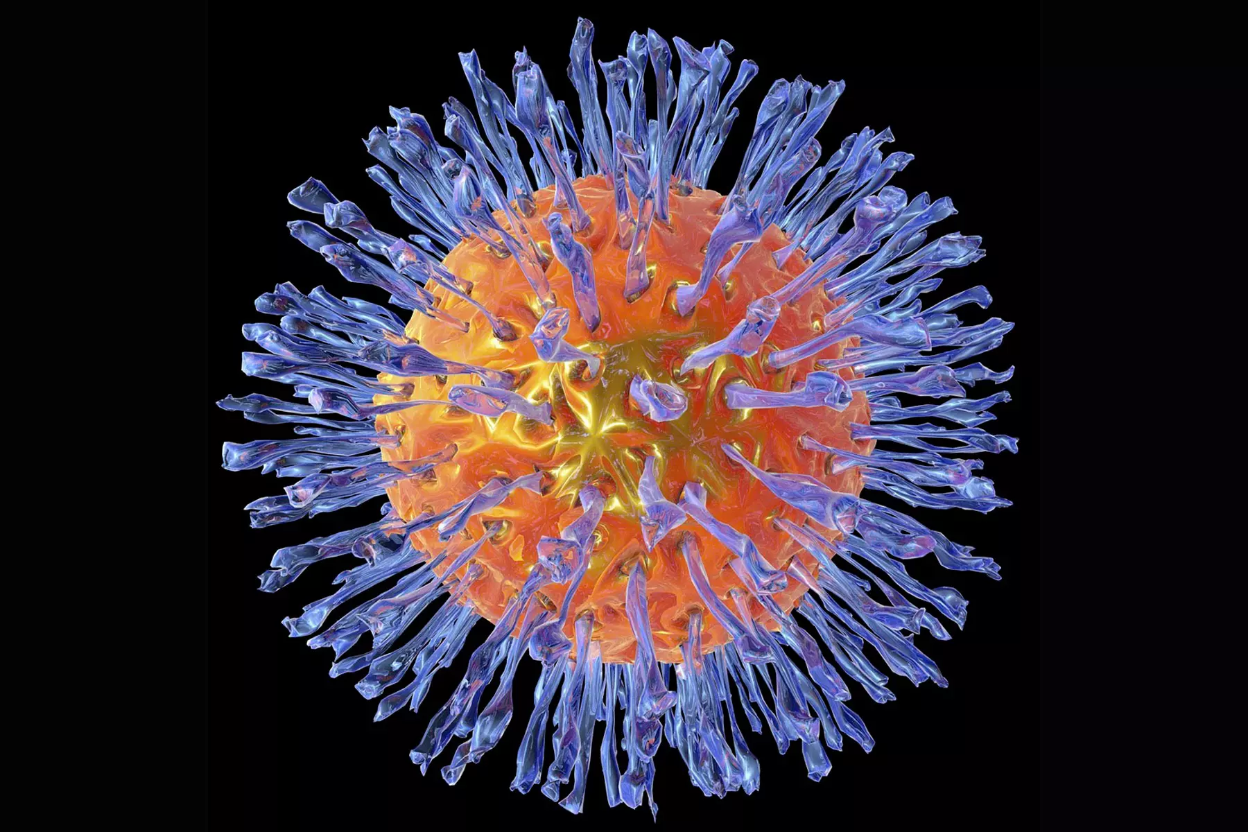 Virus Herpes