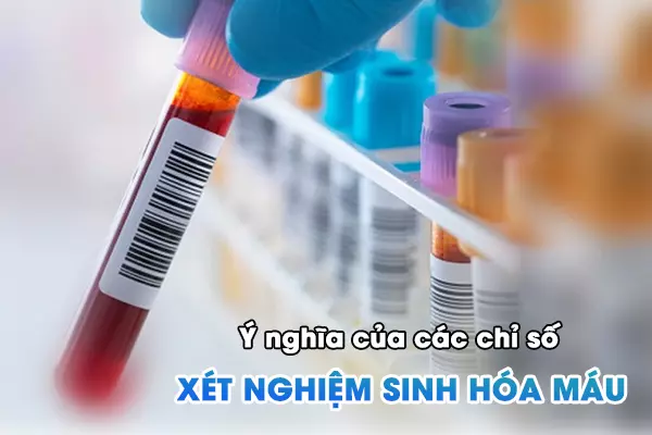 chỉ số xét nghiệm sinh hóa máu