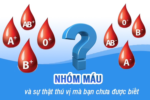 Một số sự thật thú vị về các nhóm máu có thể bạn chưa biết