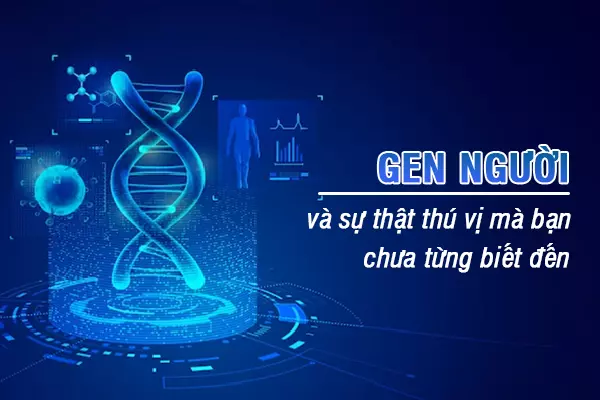 bộ gen người