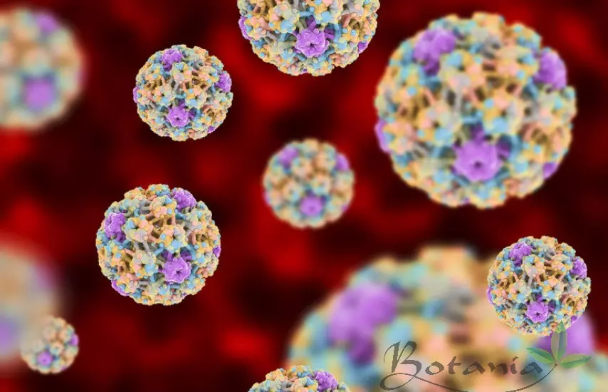 virus HPV 