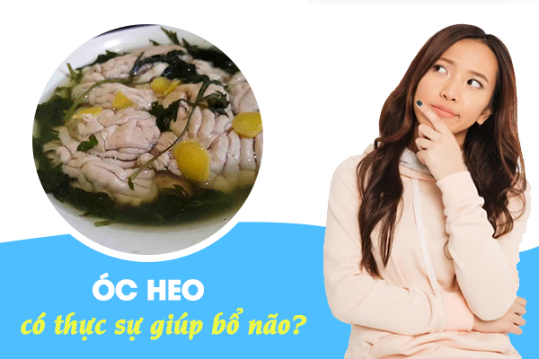 Ăn óc heo giúp bổ não: Có thực sự hiệu quả như lời đồn?