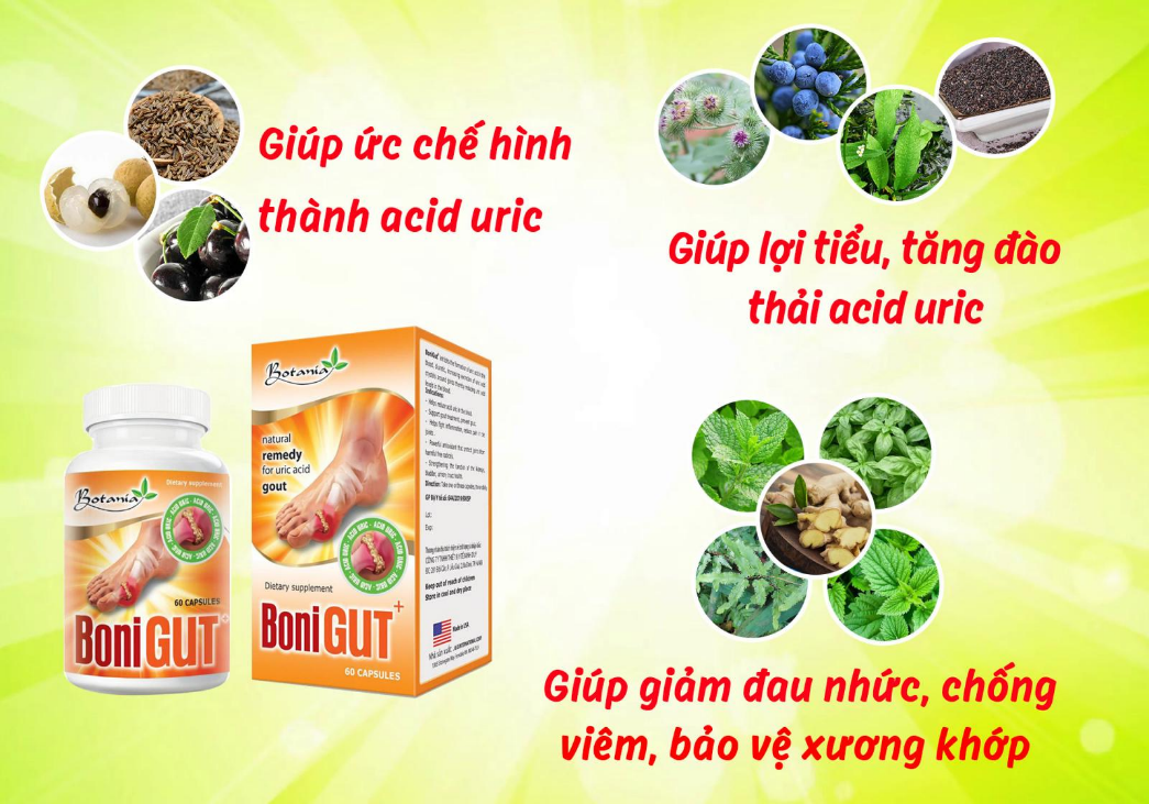 Thành phần và tác dụng của BoniGut +