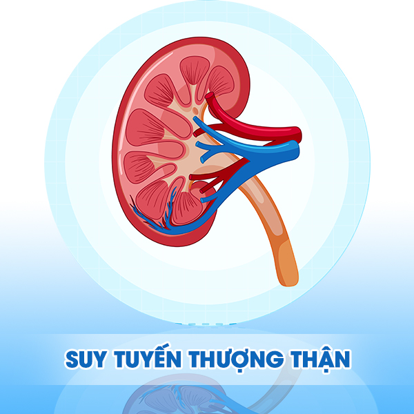 Suy tuyến thượng thận có nguy hiểm không