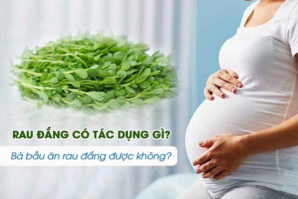 Rau đắng có tác dụng gì? Bà bầu ăn rau đắng được không?