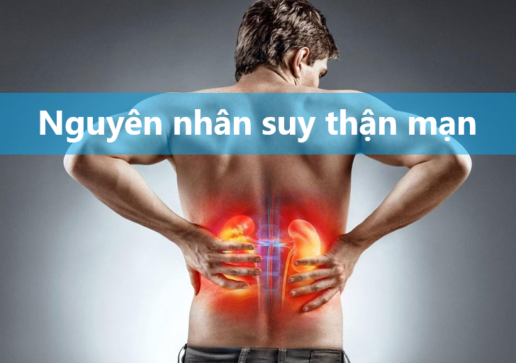 Nguyên nhân suy thận mạn là gì?