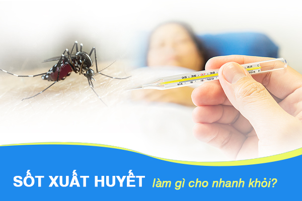 Sốt xuất huyết làm gì cho nhanh khỏi?