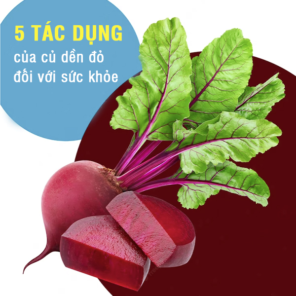 Củ dền đỏ