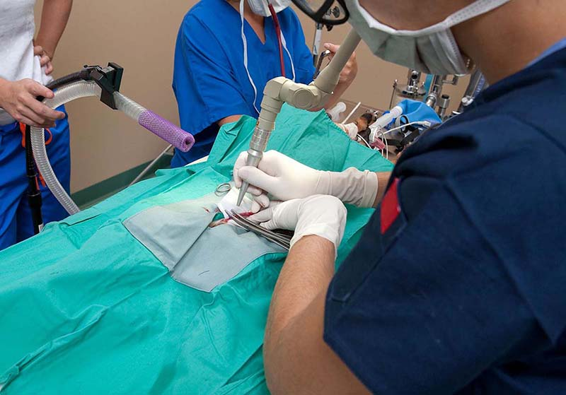 Bác sĩ chiếu trực tiếp tia laser vào búi trĩ