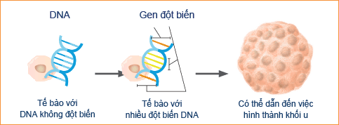 Đột biến  gen là nguyên nhân gây ung thư